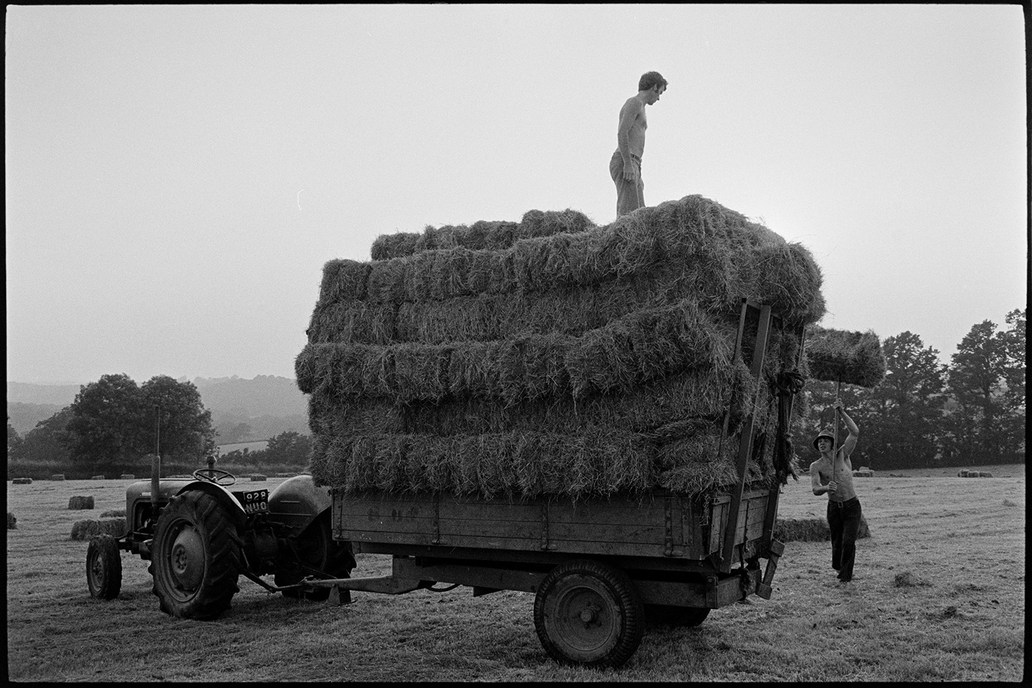 Farmers loading hay on trailer. 
[David Ward and Graham Ward loading hay bales onto a tractor and trailer in a field at Parsonage, Iddesleigh. One of the men is picking up a bale with a pitchfork and taking it to the other man stood on the bales on the trailer. More bales can be seen in the field in the background.]