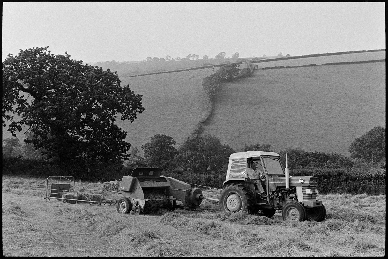 Farmers baling hay. 
[John Ward driving a tractor and baler in a field at Parsonage, Iddesleigh. Livestock can be seen grazing on a hilly field in the background.]