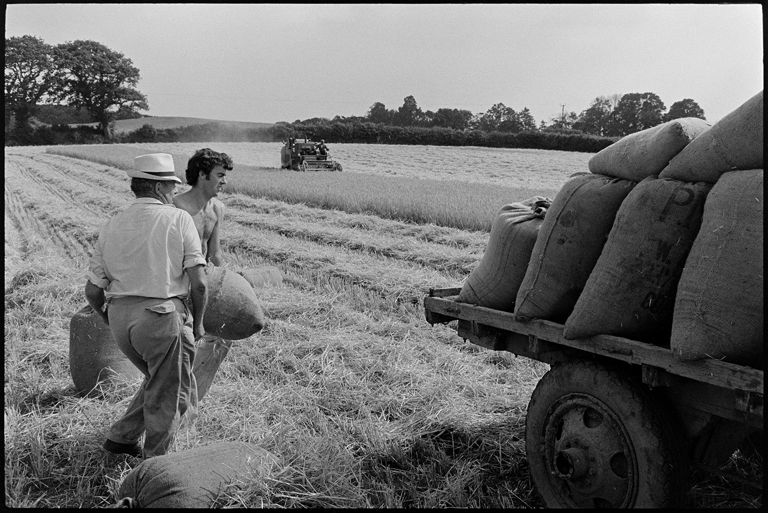 Loading sacks of corn from combine harvester. 
[John Ward and one of his sons loading a sack of grain onto a trailer in a field at Parsonage, Iddesleigh. A combine harvester can be seen in the background.]