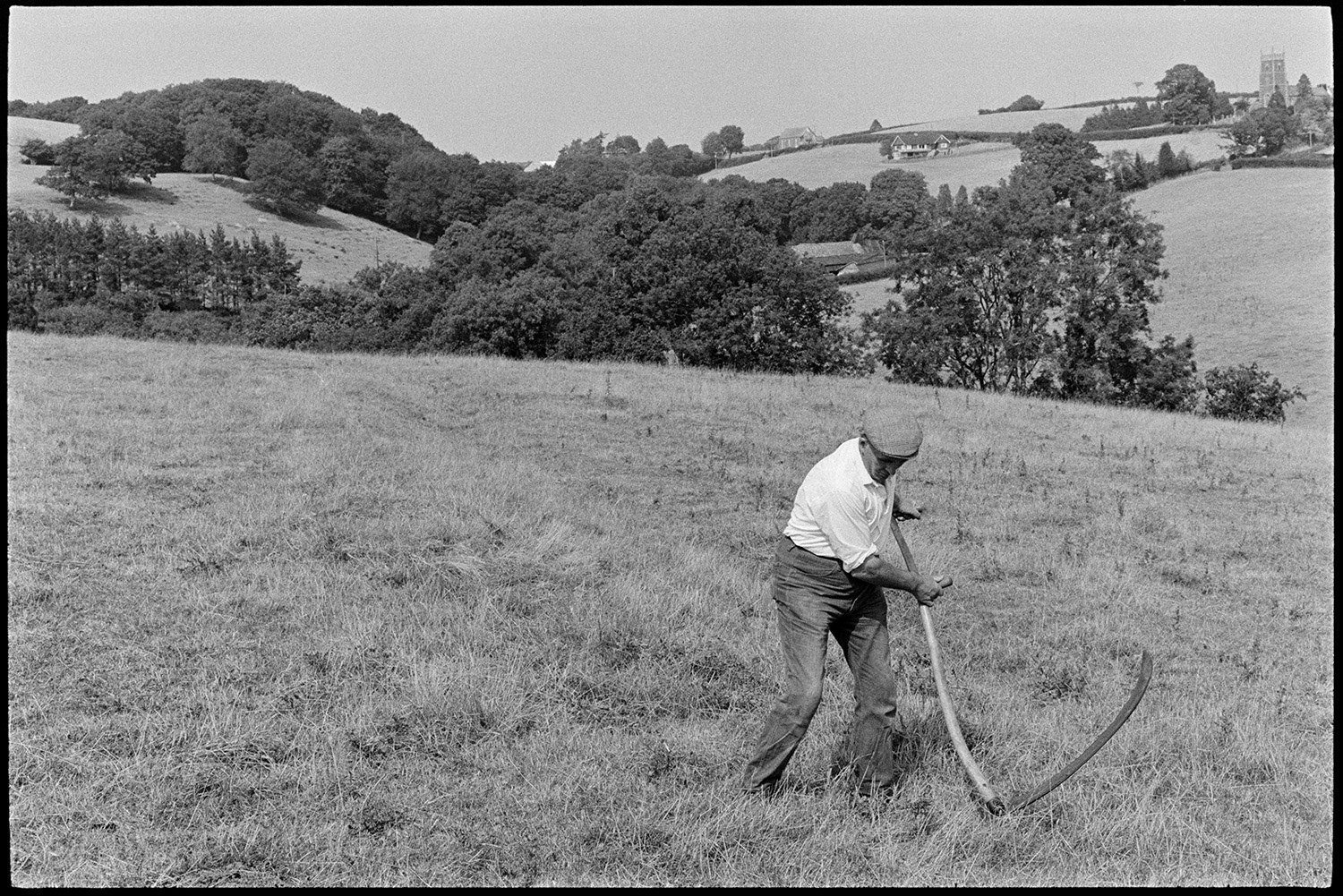 Farmer scything thistles in field during drought. 
[A man using a scythe to cut thistles in a field at Westpark, Iddesleigh during a drought. Woods, farm buildings and a church tower can be seen in the background.]