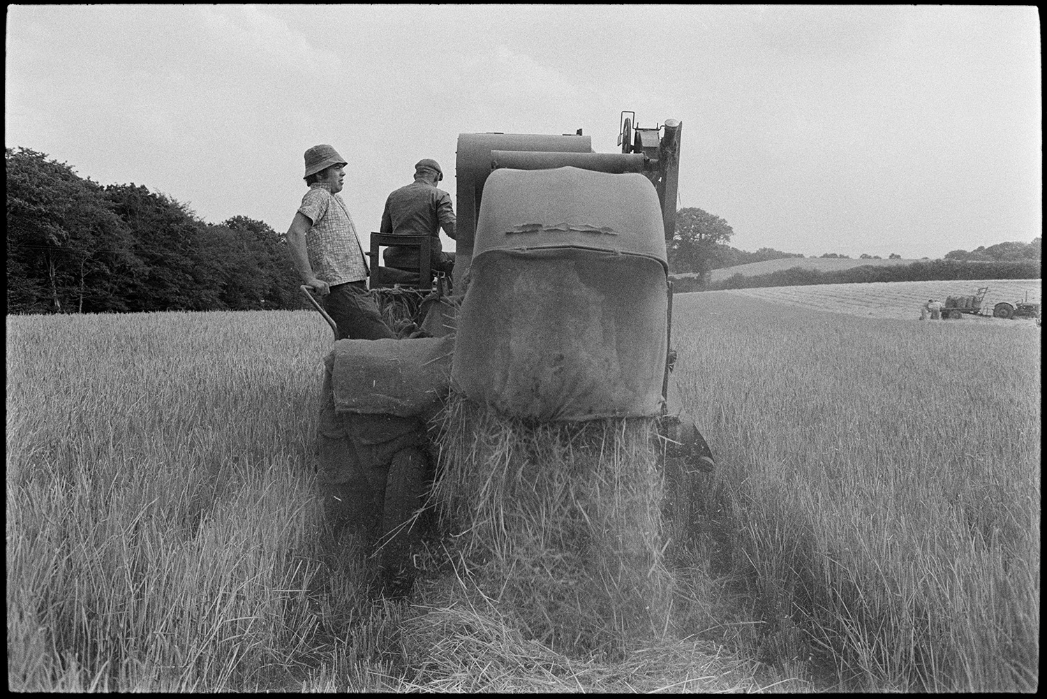 Two men harvesting a crop using a combine harvetser in a field at Parsonage, Iddesleigh.