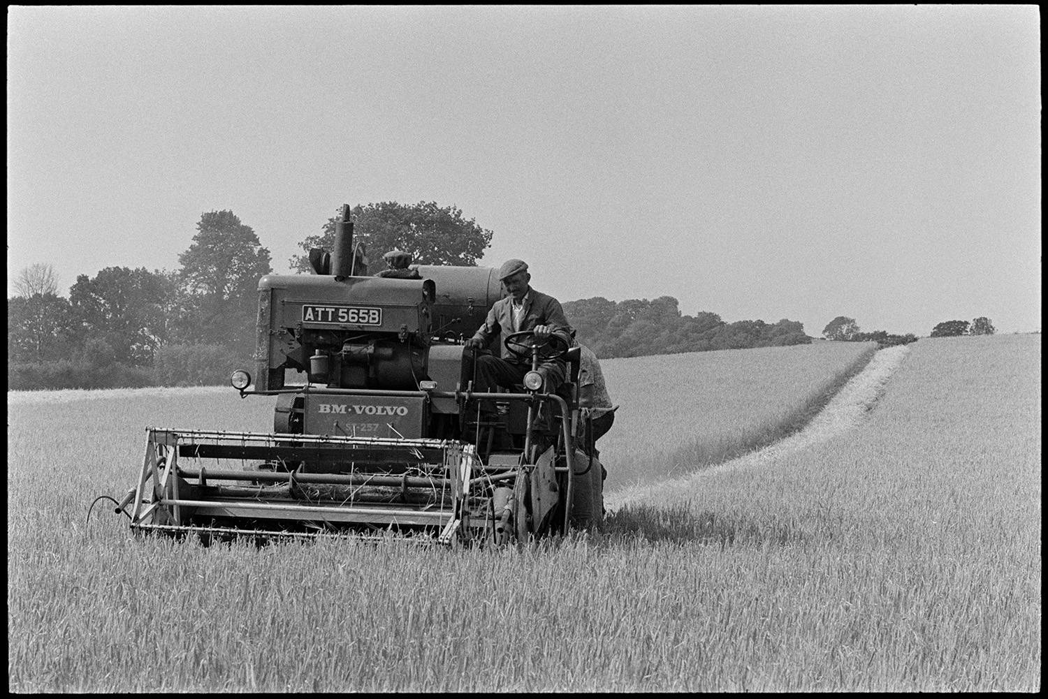 A man driving a combine harvester to harvest a crop in a field at Parsonage, Iddesleigh.