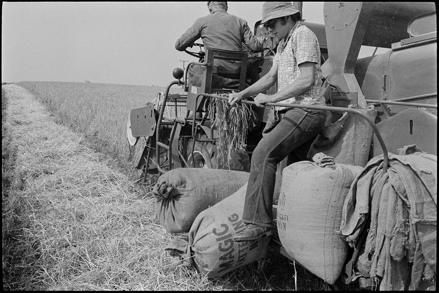 Two men using a combine harvester to harvest a crop in a field at Parsonage,Iddesleigh. One of the men is driving the combine harvester while the other is managing sacks of grain.