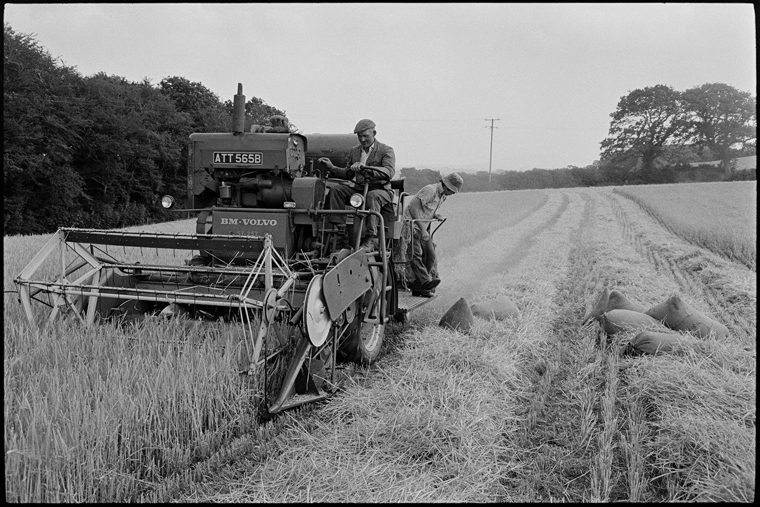 Two men using a combine harvester to harvest a crop in a field at Parsonage,Iddesleigh. One of the men is driving the combine harvester while the other is managing sacks of grain.