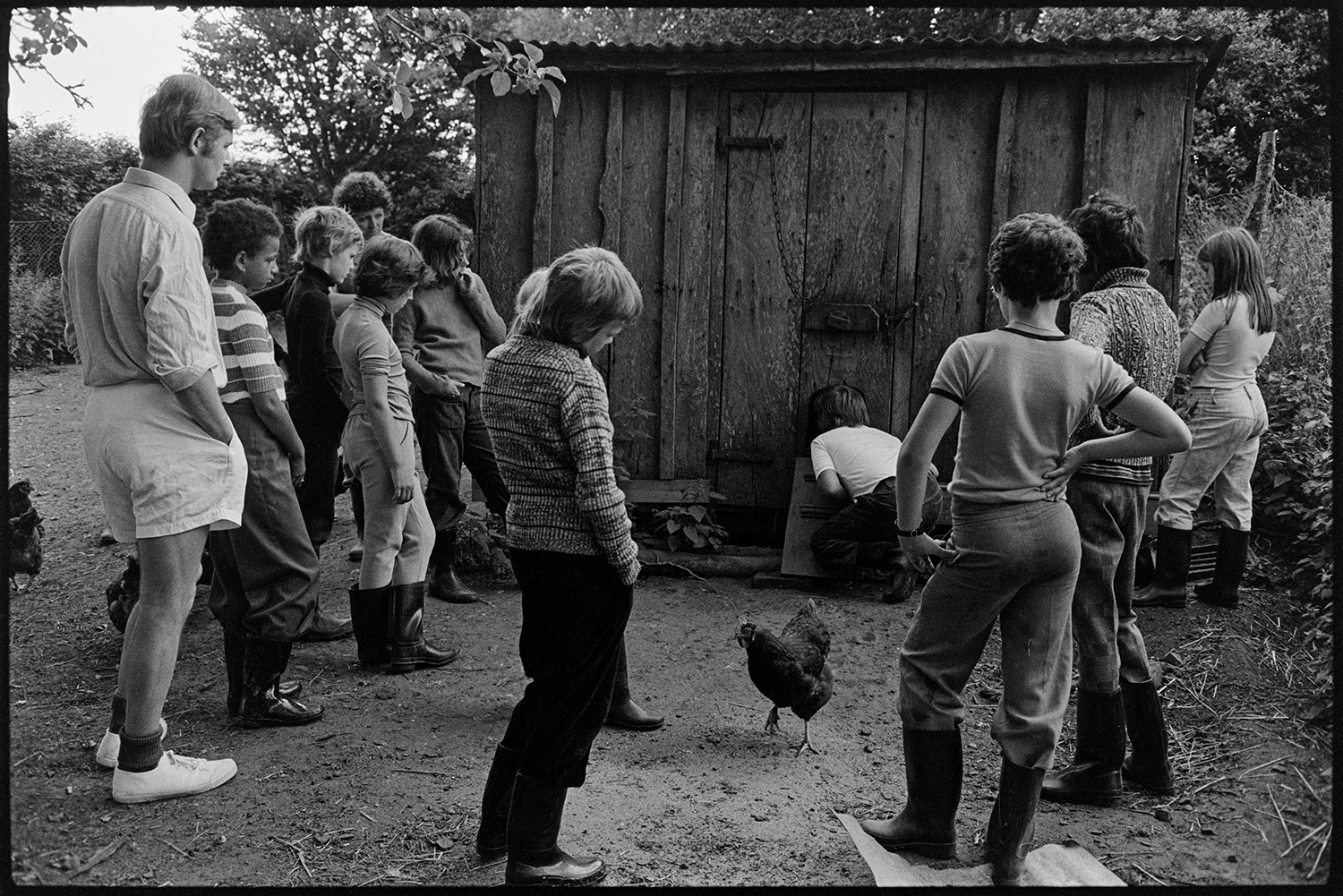 Children looking at farm Farms for City Children. 
[A group of children looking at a poultry house and hens at Farms for City Children, Nethercott, Iddesleigh. The man supervising them may be Michael Morpurgo.]