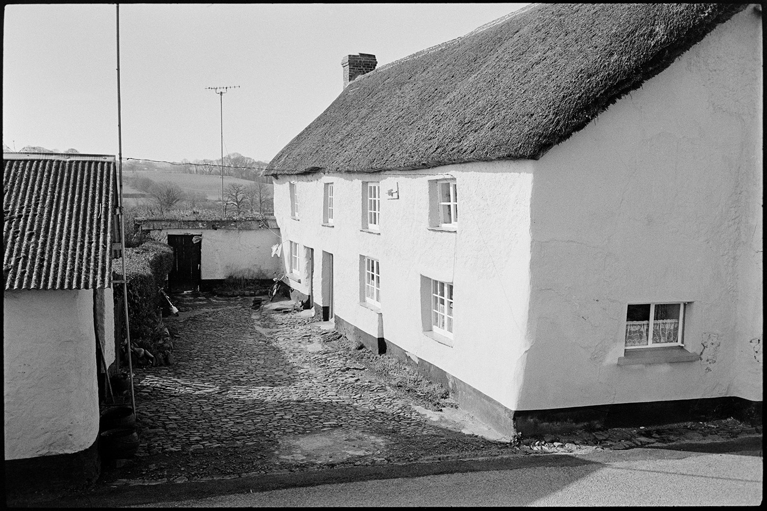Cob and thatch cottages. 
[Cob and thatch cottages with a cobbled yard outside at Monkokehampton.]