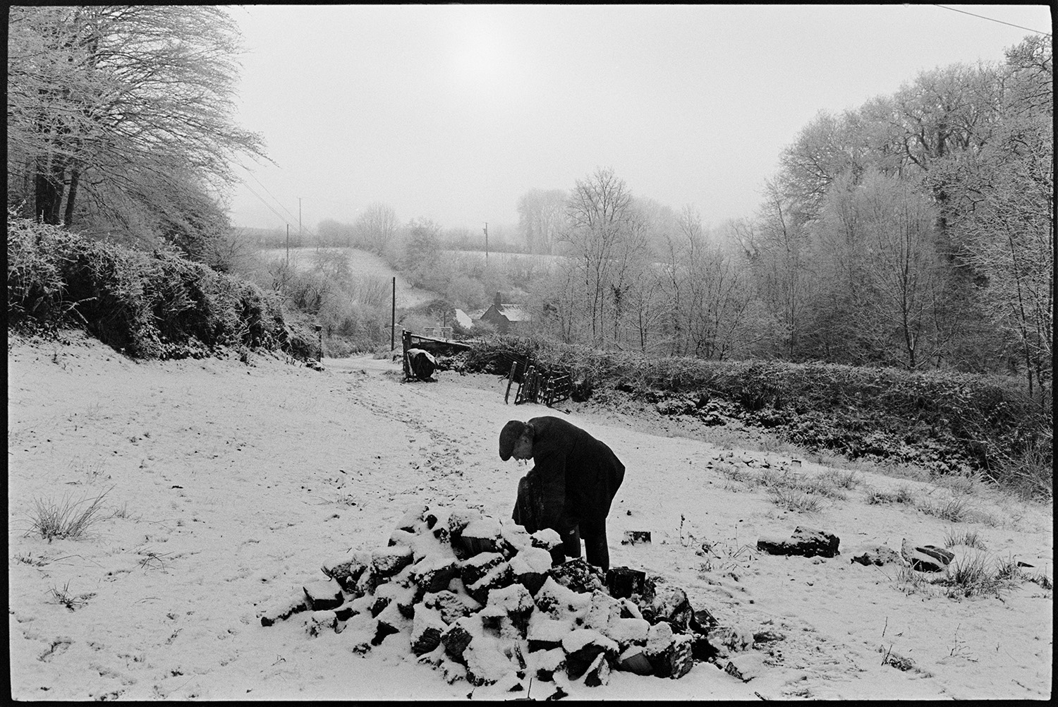 Man carrying logs in snow. 
[Ivor Brock filling a sack with log from a woodpile in a field covered in snow at Millhams, Dolton.]