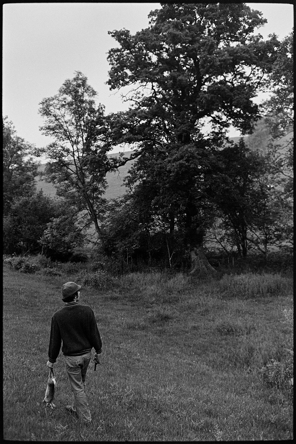 Farmer shooting squirrels. Shotgun. 
[David Ward walking past trees in a field at Parsonage, Iddesleigh looking for rabbits and squirrels to shoot. He is holding a shotgun and carrying a dead rabbit.]