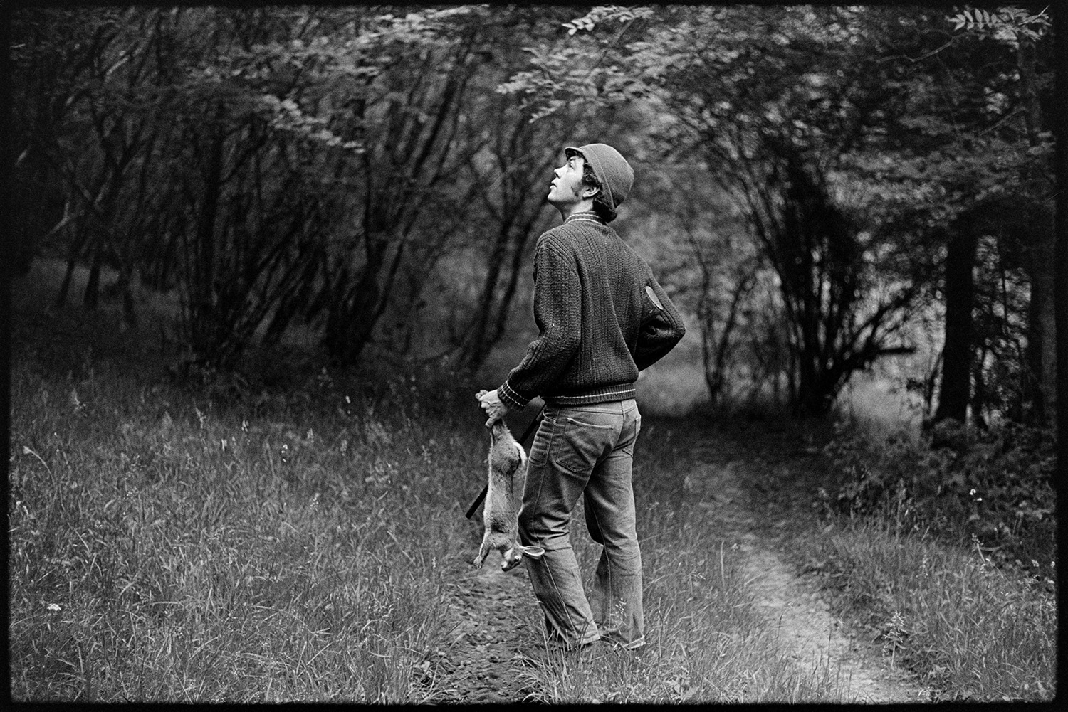Farmer shooting squirrels. Shotgun. 
[David Ward looking up into trees from a track at Parsonage, Iddesleigh, looking for squirrels to shoot. He is holding a shotgun and a dead rabbit.]