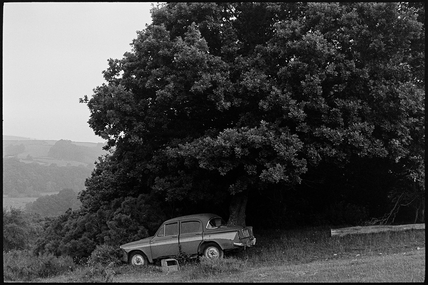 Landscape with abandoned car. 
[An abandoned car under a large tree in a field at Ashwell, Dolton. Fields and woodland can be seen in the background.]