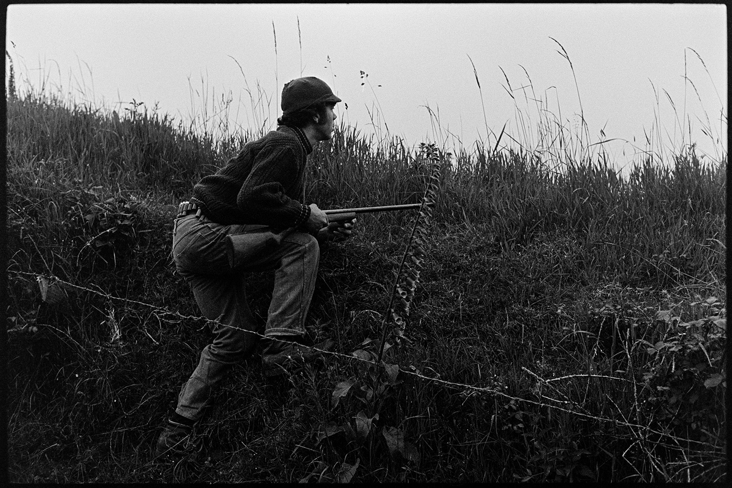 Man shooting rabbits with gun. 
[David Ward climbing up a hedge bank looking for rabbits to shoot at Parsonage, Iddesleigh. He is holding a shotgun and a foxglove is visible in the hedge.]