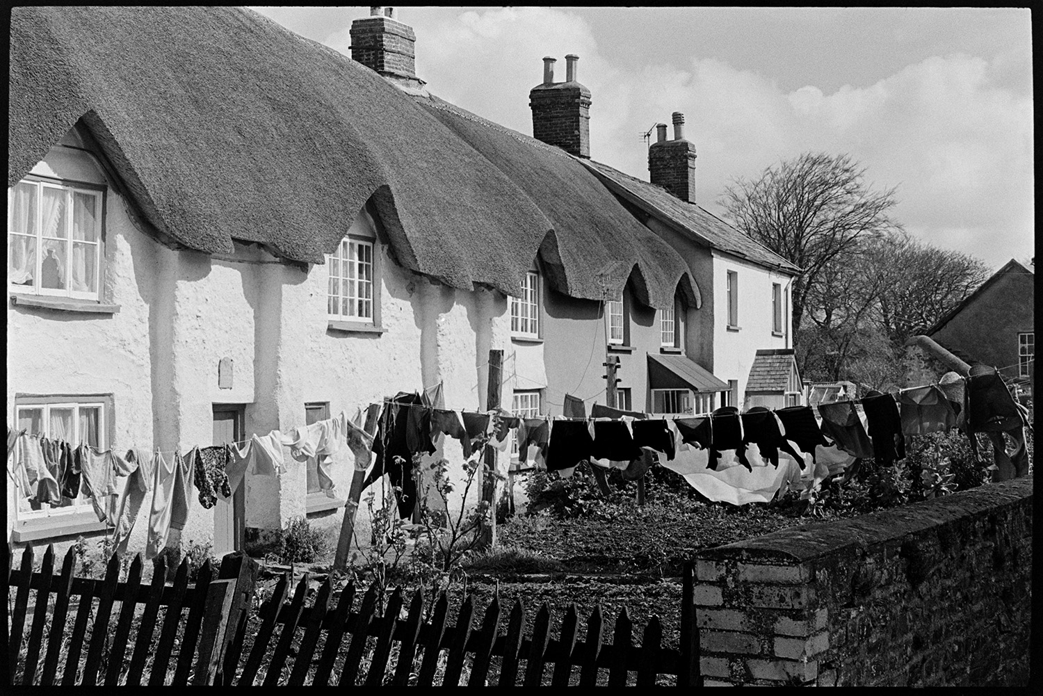 Thatched cottages with clothes on washing line. 
[A row of thatched cottages with eyebrow eaves in Dolton. Washing is hanging out to dry on washing lines in the gardens of the cottages.]
