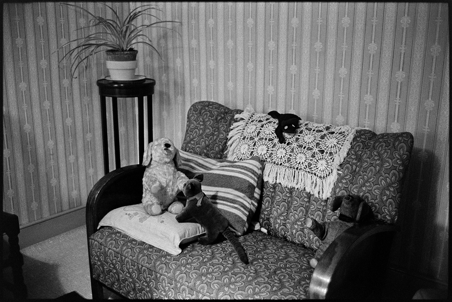 Sofa, cushions and stuffed toys. 
[Interior of a living room, possibly Emily Easterbrook's home, in West Lane, Dolton. A sofa with cushion and stuffed toys, and a pot plant on a stand can be seen. The walls are covered with patterned wallpaper.]