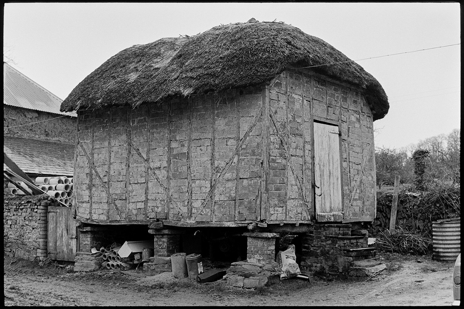 Thatched granary barn on pillars. 
[A thatched granary barn on brick stilt or pillars in the farmyard at Higher House Farm, Atherington. Steps lead up to the wooden door and wooden beams can be seen in the walls.]