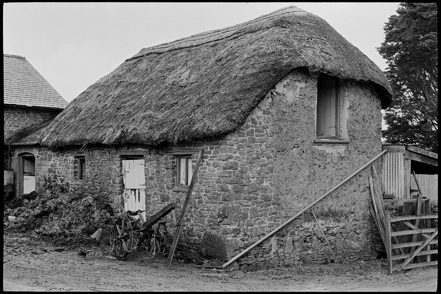 Barn. 
[A stone, thatch and cob barn at Higher House Farm, Atherington. The barn has a tallet and a dung heap and old wooden wheels are outside. The barn was demolished some time before 1995.]