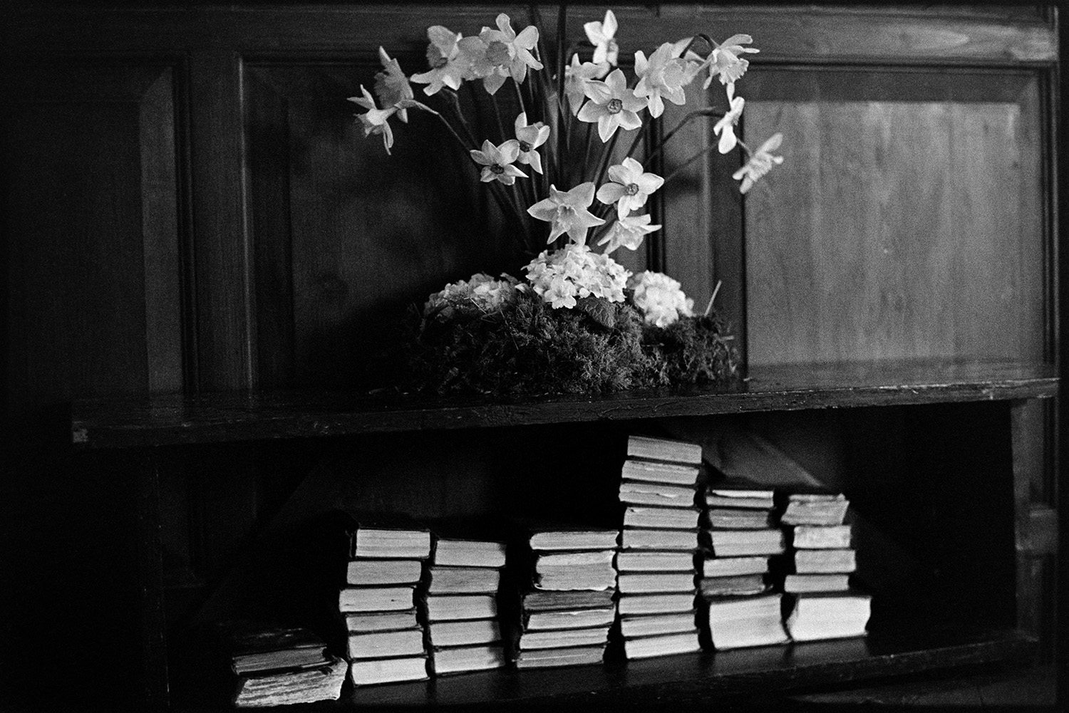 Easter flowers on lectern and with hymn books. 
[A display of daffodils for Easter in Dowland Church. They are positioned above a wooden shelf containing hymnbooks.]