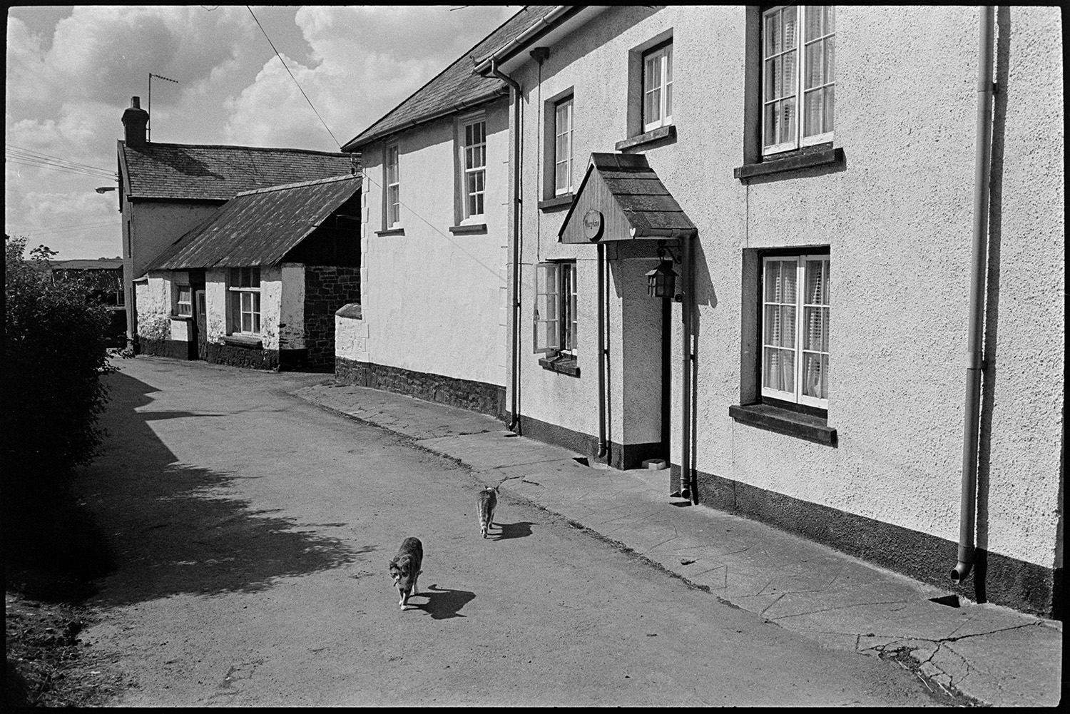 Village street scenes, bicycles, cat. 
[Two cats walking away from each other in a street in Kings Nympton. One of them is walking toward a house with a porch and lamp outside.]