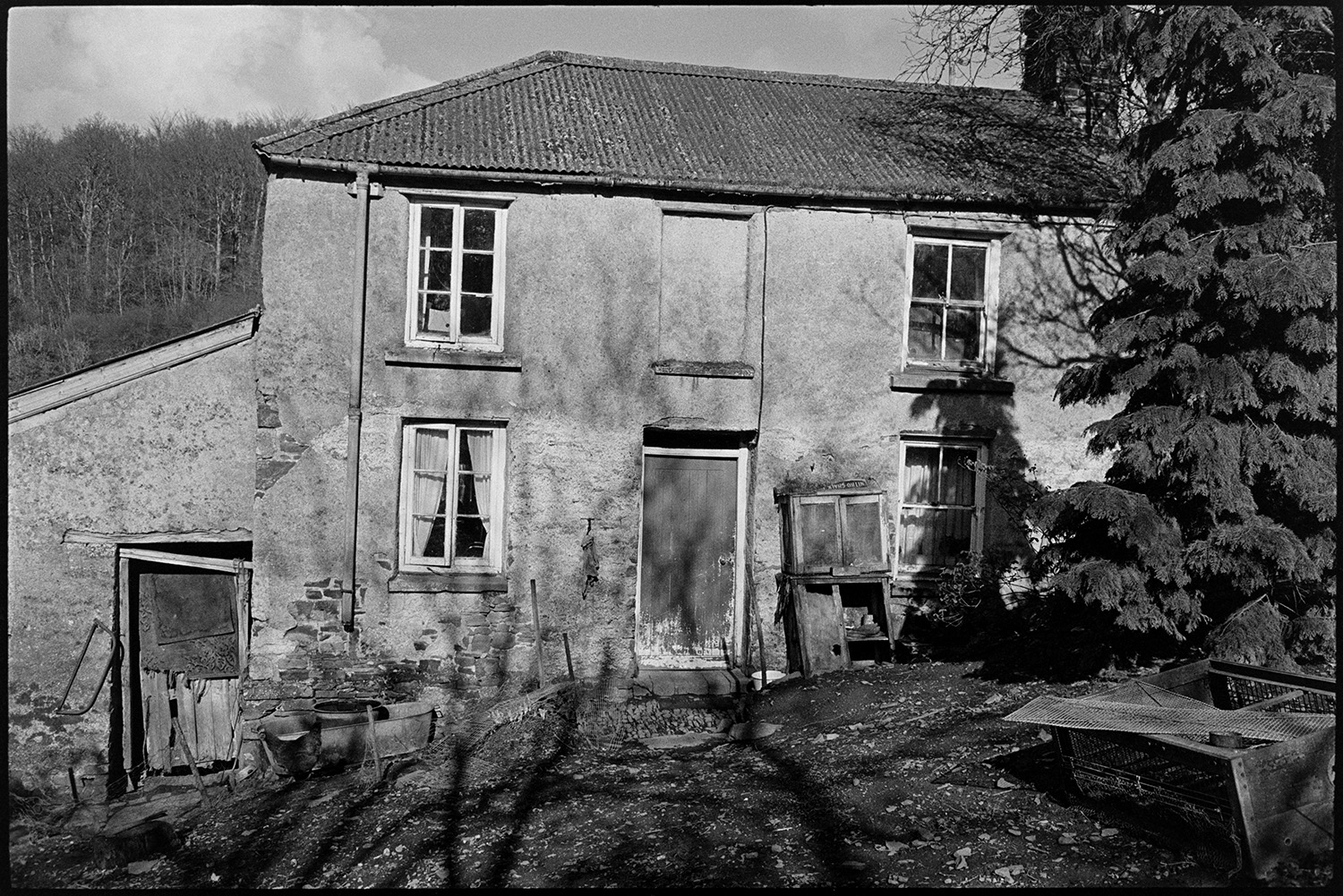 House in valley, now renovated. 
[Ivor Brock's house in a valley surrounded by trees at Millhams, Dolton.  An old tin bath and an animal run can be seen in the front yard. The house was later refurbished.]