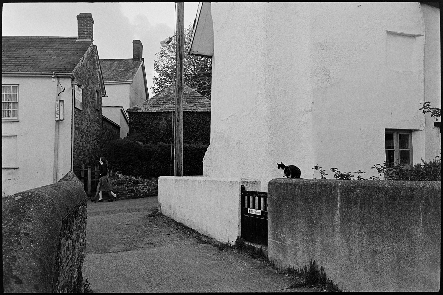 Village street scenes, bicycles, cat. 
[A lane in Kings Nympton running between houses. Two people can be seen walking along a street in the background and a cat is sat on the wall outside a house named 'Little Bay' in the foreground.]