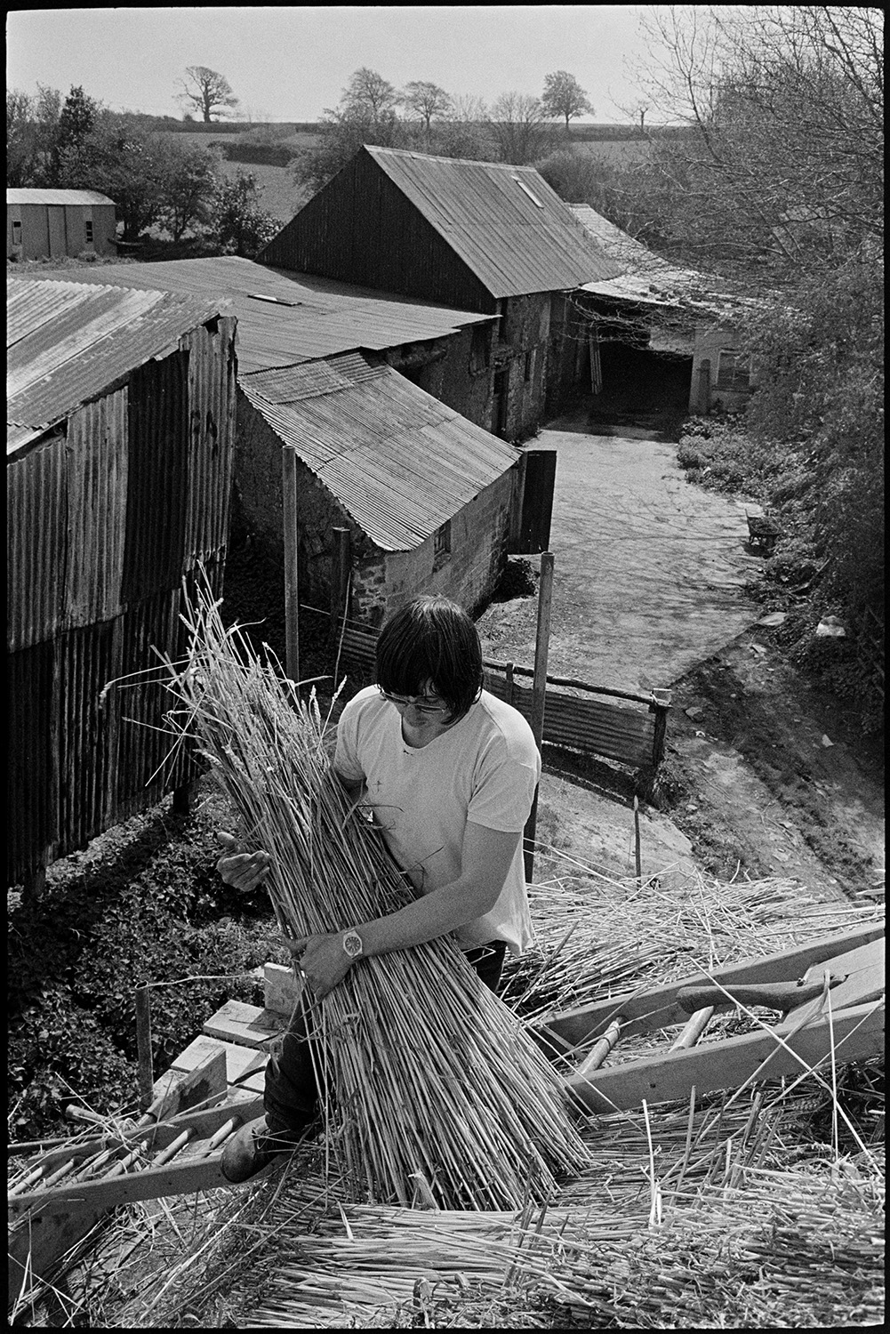 Thatcher at work on roof. 
[Nigel Gard thatching a rood at Woodtown, Dolton. He is up a ladder on the roof holding a nitch of reed. Farm buildings and barns can be seen in the background.]