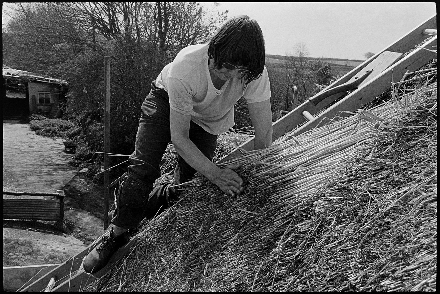 Thatcher at work on roof. 
[Nigel Gard thatching a roof at Woodtown, Dolton. He is up a ladder on the roof and pushing the reed to make it smooth. A paddle is resting on the ladder.]