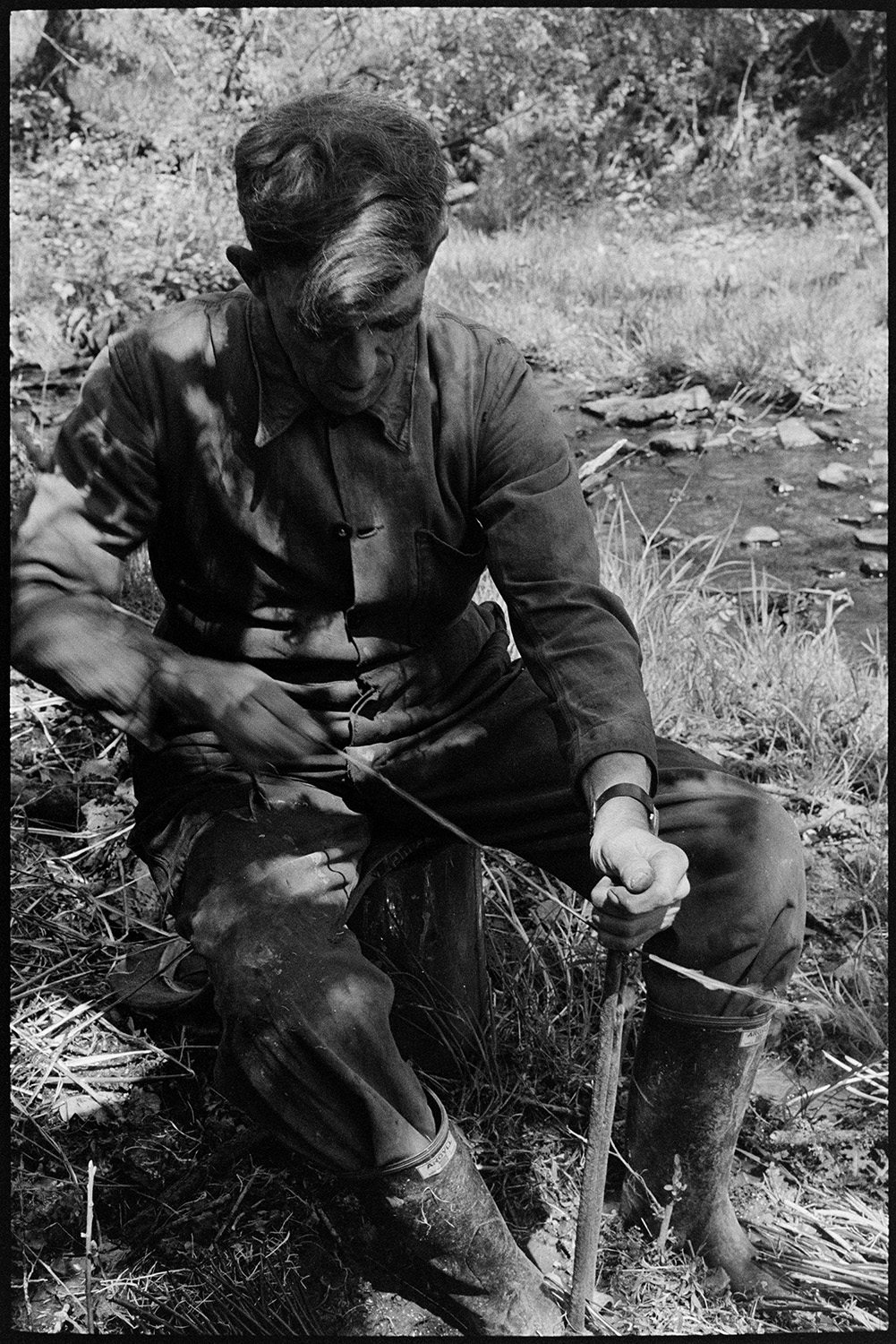 Two skinning (stripping) rods (willows) for basketwork. 
[Bill Folland stripping or skinning a rod of willow to be used in basket making, near a stream at Colehouse, Riddlecombe. He is using a metal tool to strip the willow.]