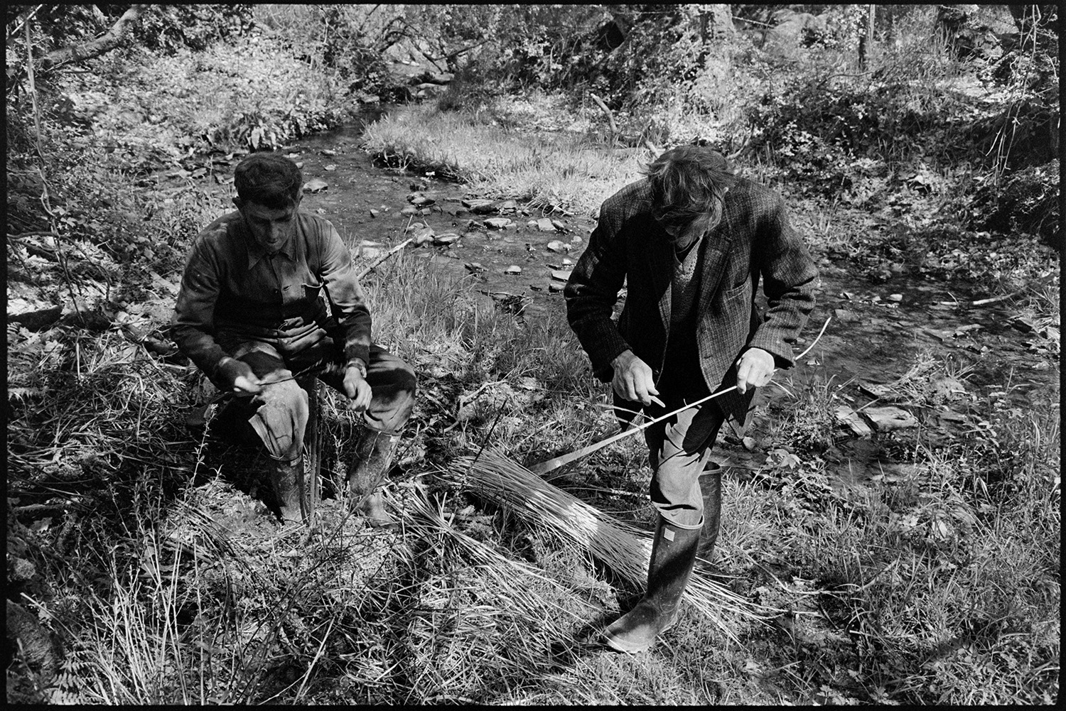 Two skinning (stripping) rods (willows) for basketwork. 
[Bill Folland and Bill Cooke stripping or skinning rods of willow to be used in basket making, near a stream at Colehouse, Riddlecombe. Bill Cooke is using a knife.]