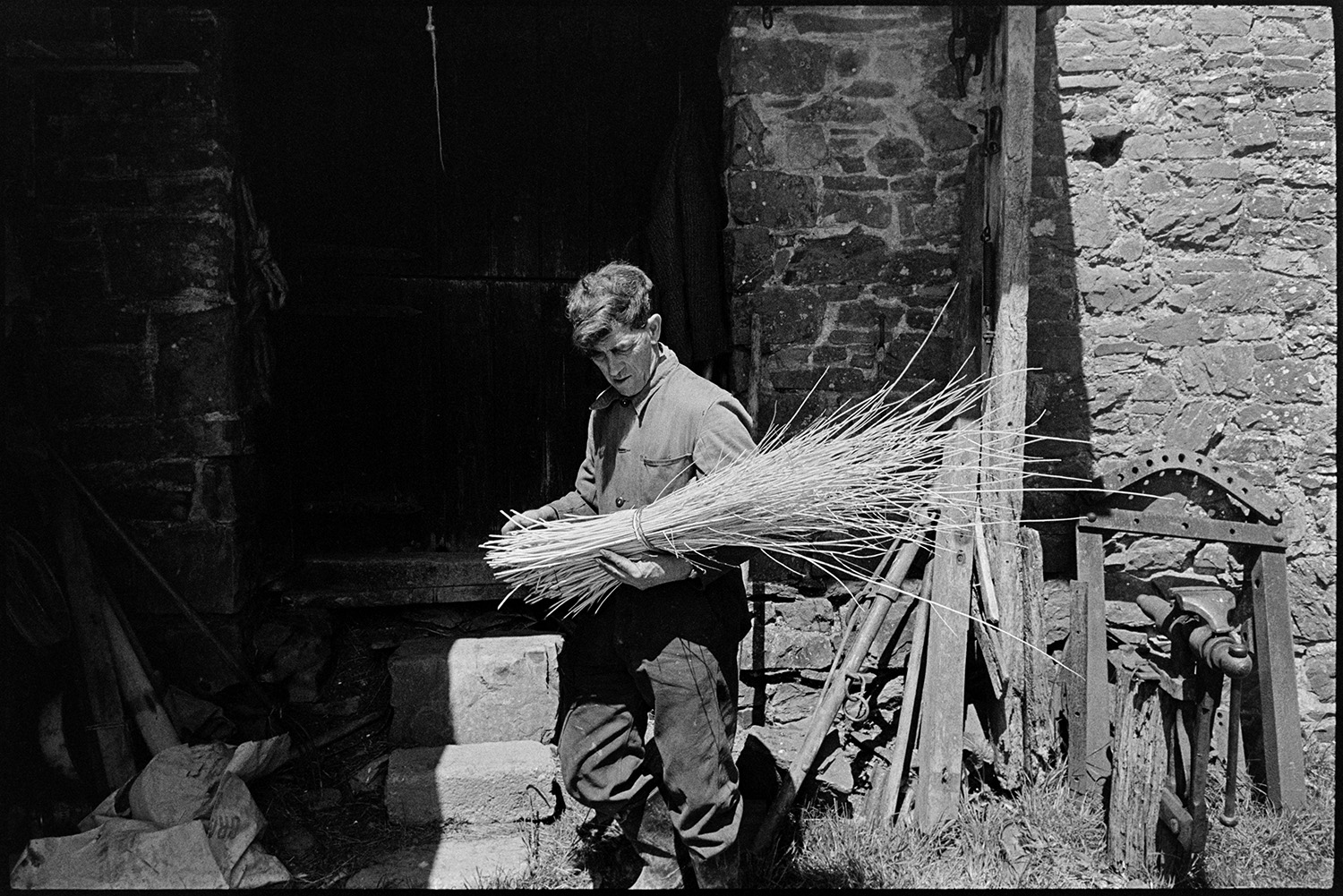 Two skinning (stripping) rods (willows) for basketwork and setting them out to dry. 
[Bill Folland holding a bundle of willow which he has stripped ready to be used in basket making. He is stood outside a stone barn at Colehouse, Riddlecombe.]