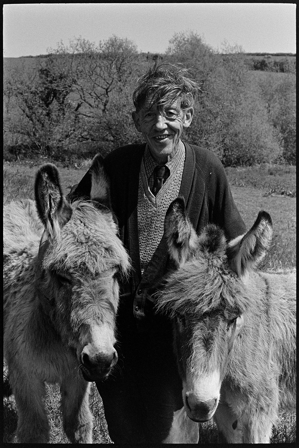 Man with his donkeys. 
[Bill Cooke stood with his two donkeys in a field at Colehouse, Riddlecombe.]