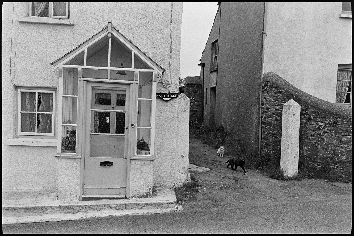 Cottage with porch. 
[The porch and front door of Rose Cottage, West Lane, Dolton. Two cats are in the alley next to the house.]