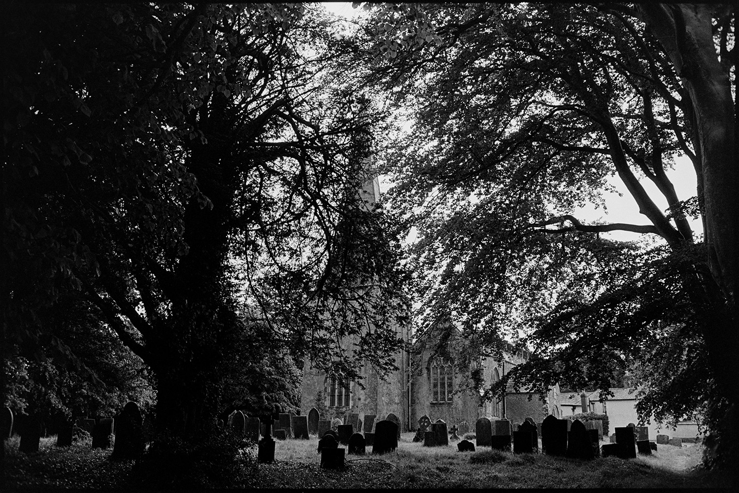 Village church and graveyard amongst trees.
[Kings Nympton Church and churchyard viewed through trees. Gravestones and the church spire are visible.]