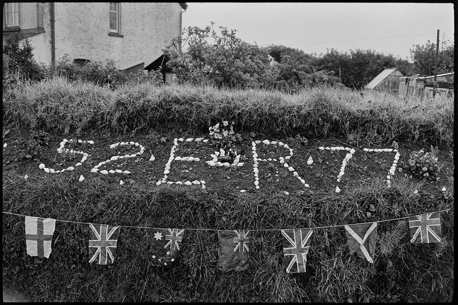 Shell pattern and flags in garden decorated for Jubilee.
[A decorative pattern in a garden near Hartland celebrating the Silver Jubilee of Queen Elizabeth II with shells, flowers and a row of flags. The shells read '52 ER 77'. A house and garden can be seen in the background.]