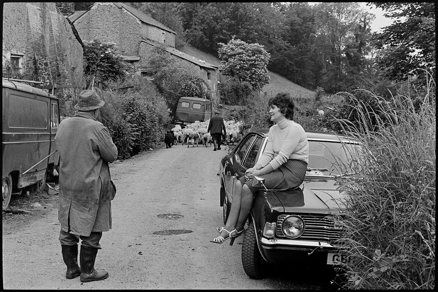 Sheep going to field past cars with people chatting. 
[A man herding a flock of sheep along a road past cottages and parked vans at Millhams, Dolton. In the foreground Archie Parkhouse is talking to a woman sat on the bonnet of a parked car.]