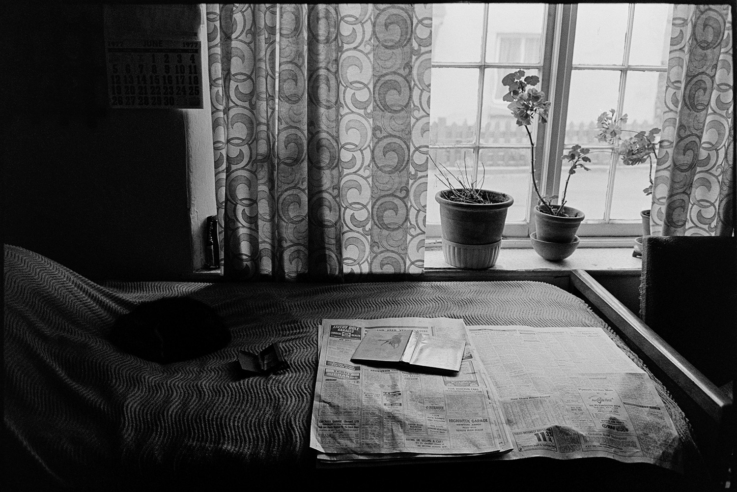Interior of sitting room with fireplace and bed, cat. 
[The interior of the sitting room in George Bird's house in Ashreigney with a bed. Newspapers and a cat are on the bed and pot plants can be seen in the window.]