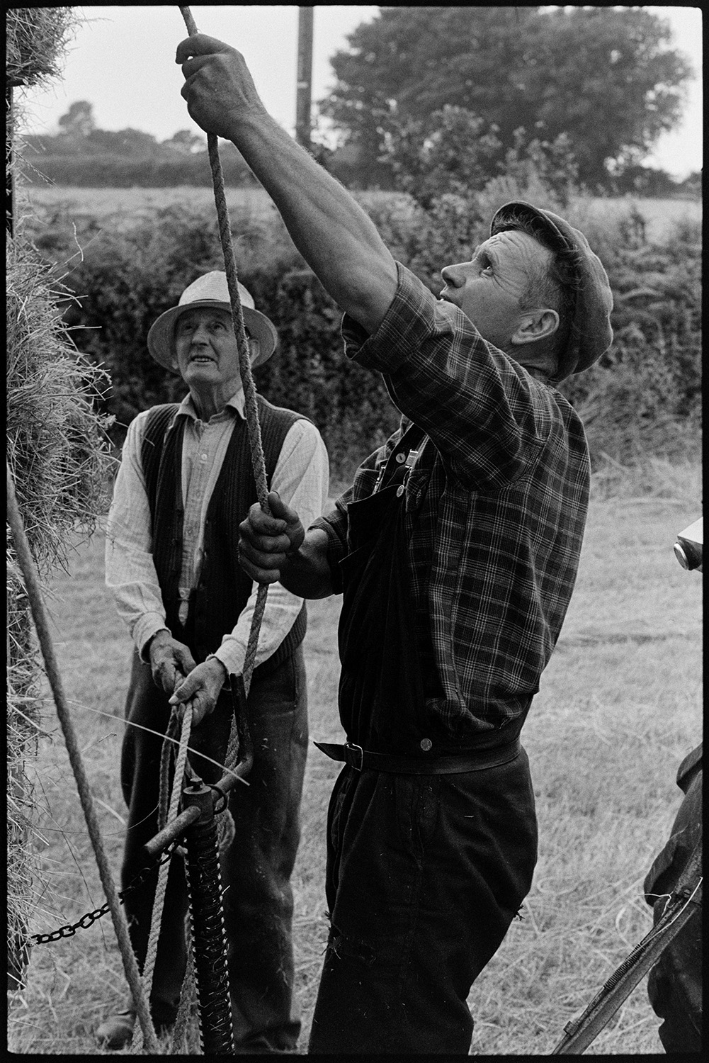 Haymaking, securing the load. 
[Mr Oke, in the foreground, and another man securing a load of hay bales on a trailer using ropes, in a field at Deckport, Hatherleigh.]