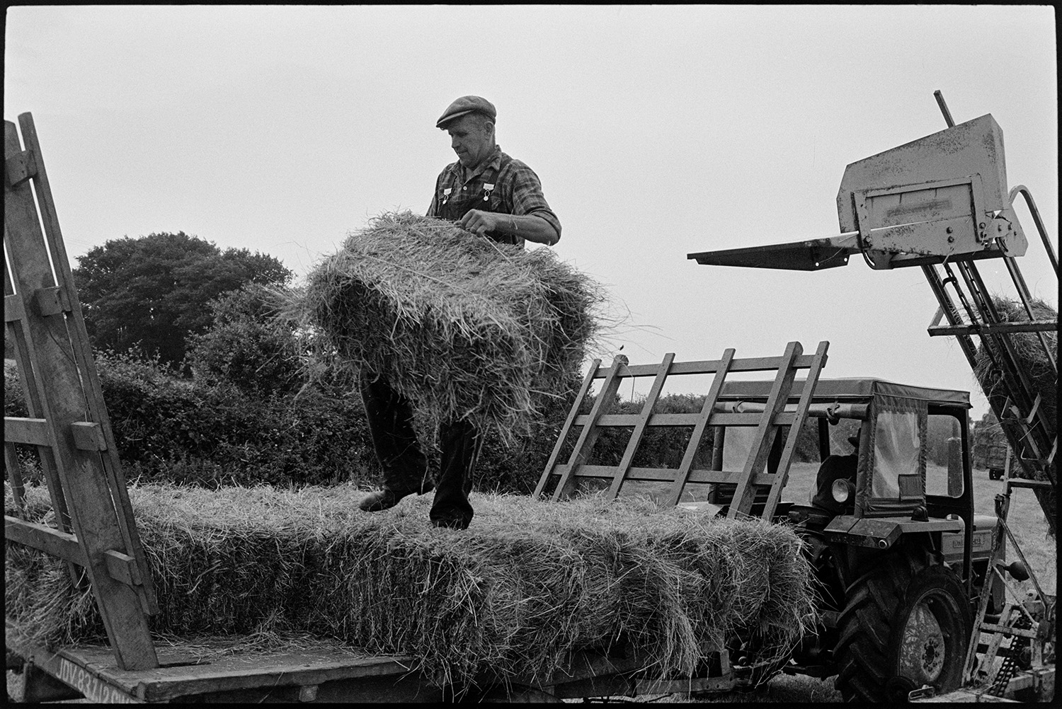 Haymaking, tractor and trailer coming back to farm past ancient thatched barn. 
[Mr Oke loading a hay bale onto a trailer in a field at Deckport, Hatherleigh. He is using an elevator, next to the trailer, to lift the bales.]