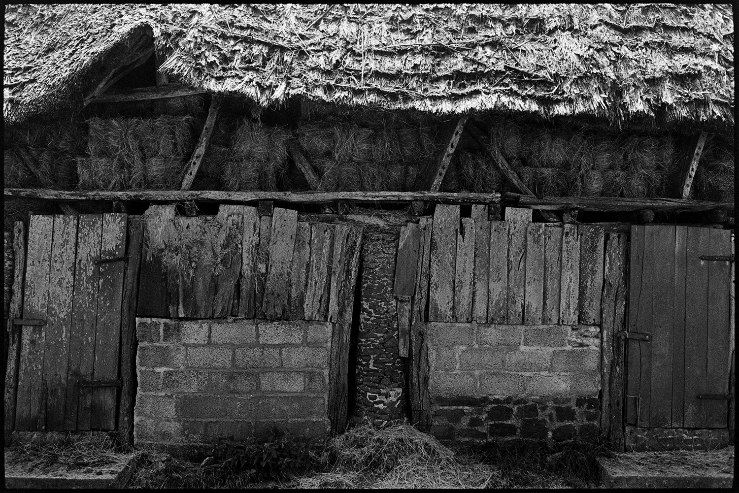 Ancient thatched barn full of hay. 
[Hay bales stored in a thatched barn at Deckport, Hatherleigh. The walls of the barn are made from stone pillars, wooden planks and breeze blocks.]