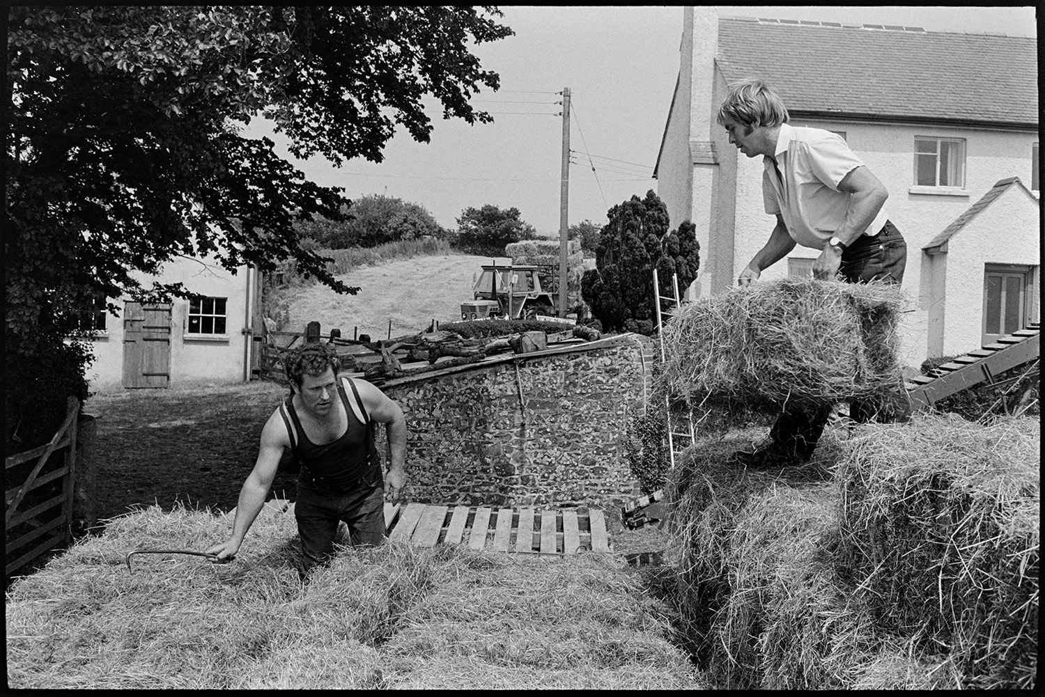 Men loading hay bales. 
[Two men loading hay bales onto a trailer in Hatherleigh. A house and tractor are visible in the background.]