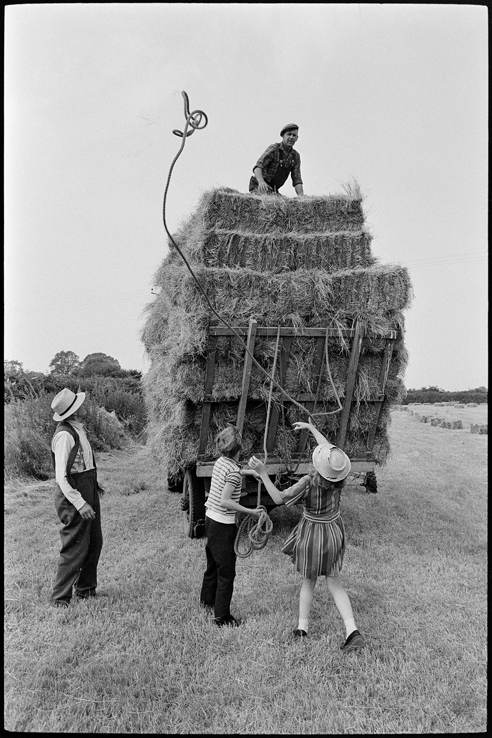 Family haymaking in field. 
[The Oke family securing a load of hay bales on a trailer with a rope in a field at Deckport, Hatherleigh. Miss Oke and Master Oke are throwing ropes up to their father, Mr Oke who is on the trailer.]