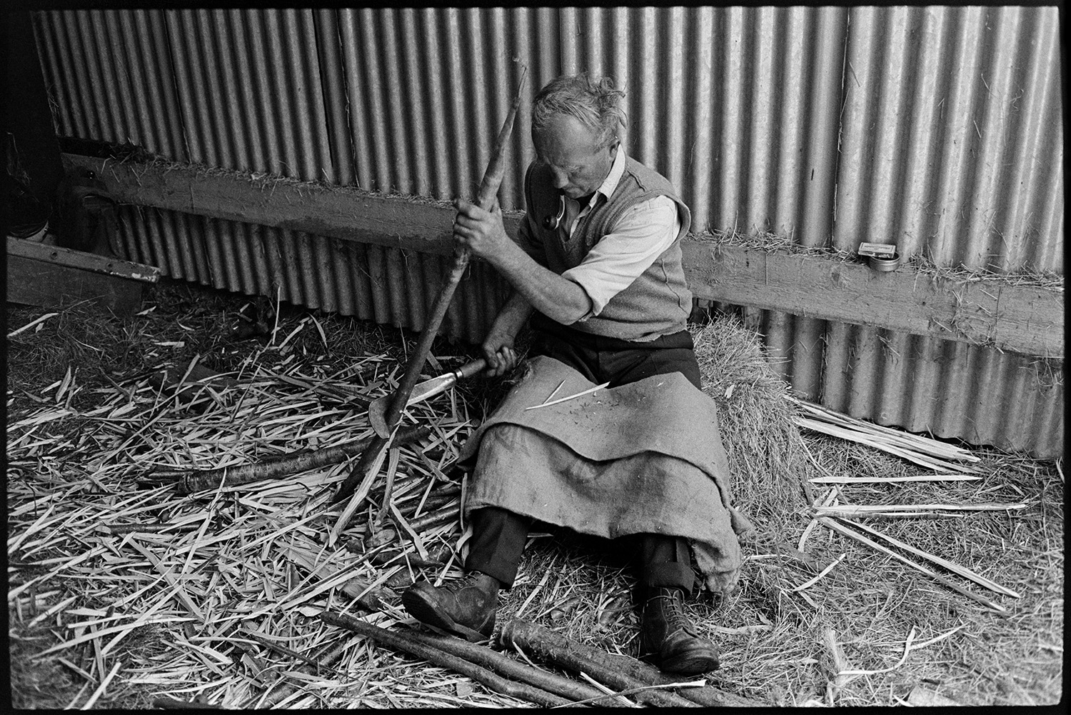 Thatcher cutting spars. 
[Bill Hammond sat on a hay bale by a corrugated iron barn cutting spars of wood for thatching at Newhouse, Ashreigney. He is using a billhook and has a hessian sack covering his knees.]