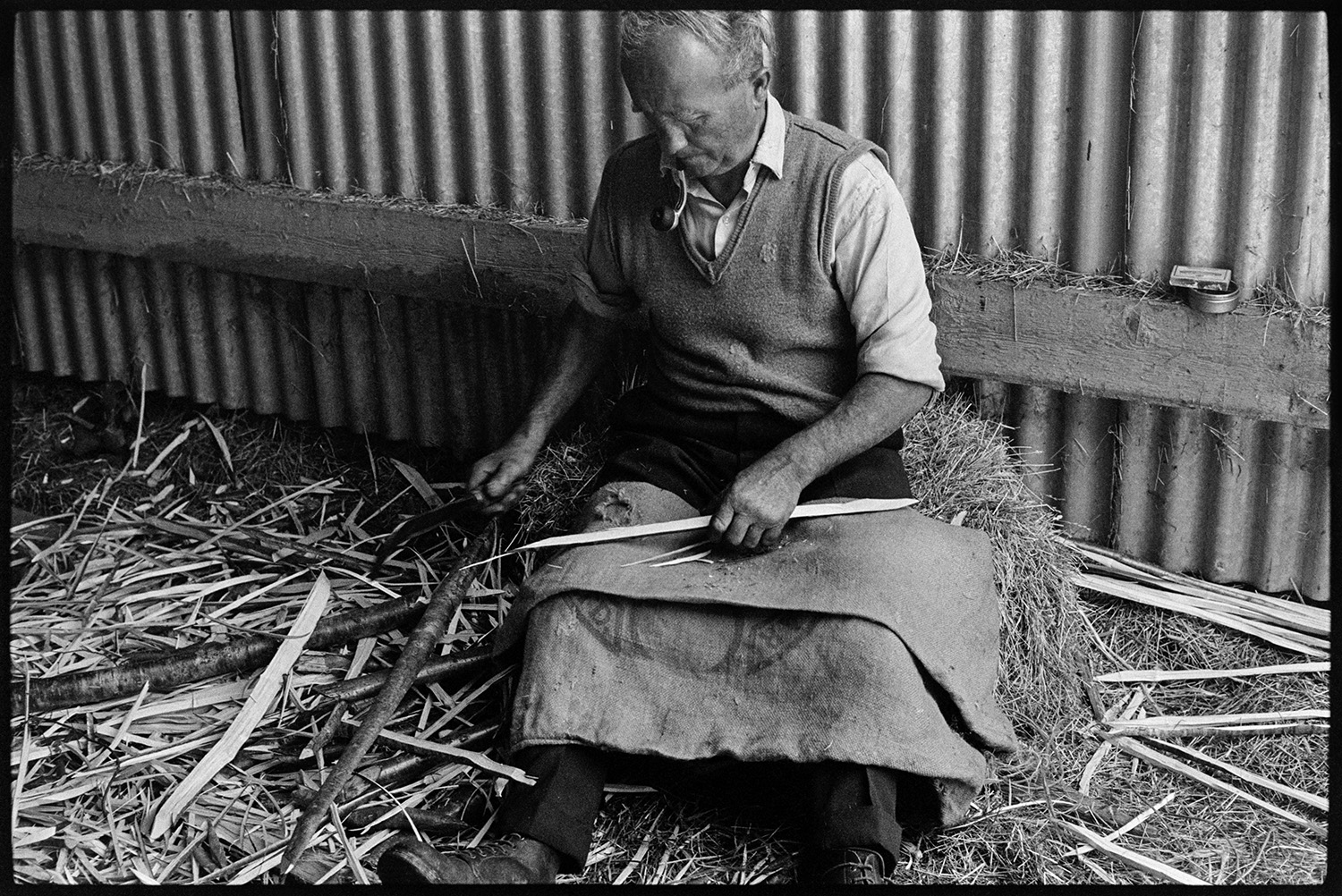 Thatcher cutting spars. 
[Bill Hammond sat on a hay bale by a corrugated iron barn sharpening spars of wood he has cut for thatching, at Newhouse, Ashreigney. He is using a small curved knife or spar hook, and has a hessian sack covering his knees.]