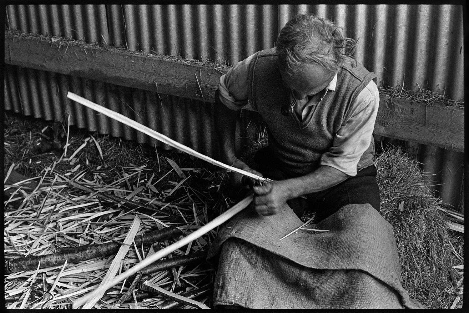 Thatcher cutting spars. 
[Bill Hammond sat on a hay bale by a corrugated iron shed cutting spars for thatching, at Newhouse, Ashreigney. He also has a hessian sack covering his knees.]