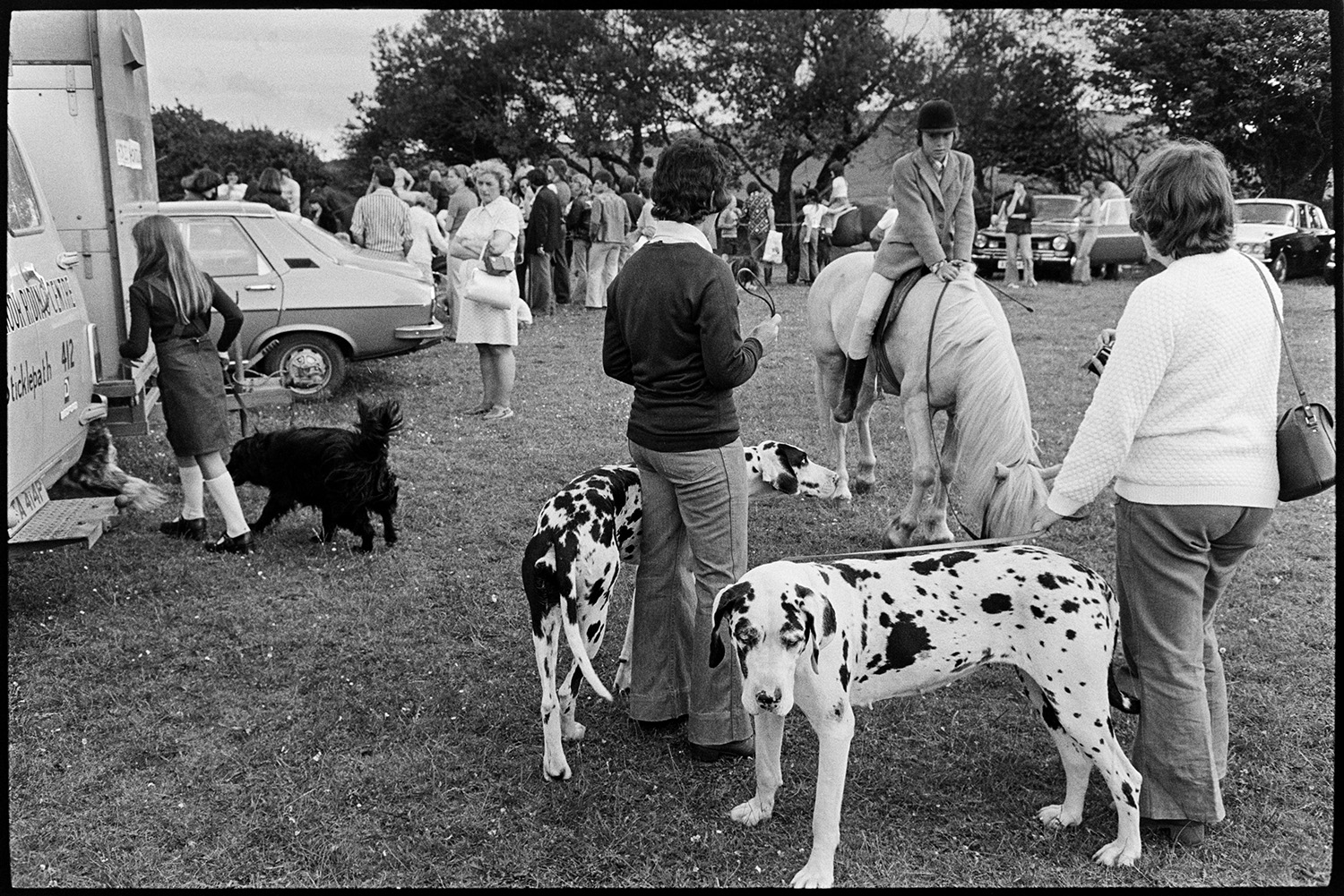 Dogs and horses at gymkhana. 
[Two people with Dalmatians talking to a mounted horse rider at Belstone Gymkhana. Spectators and another dog owner are visible in the background.]