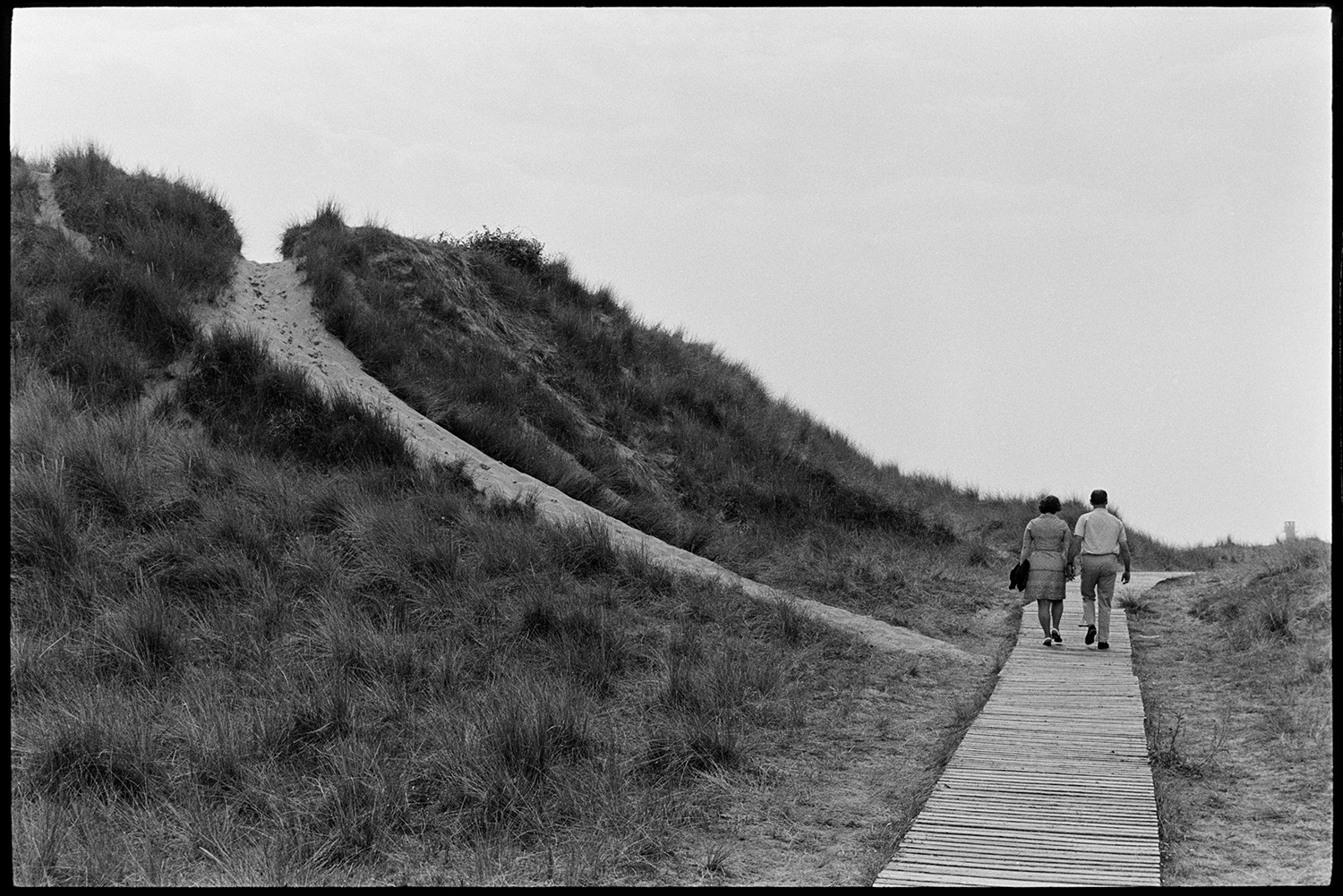 People looking at flowers in nature reserve on dunes. 
[A couple holding hands and walking along a boardwalk by sand dunes at Braunton Burrows.]