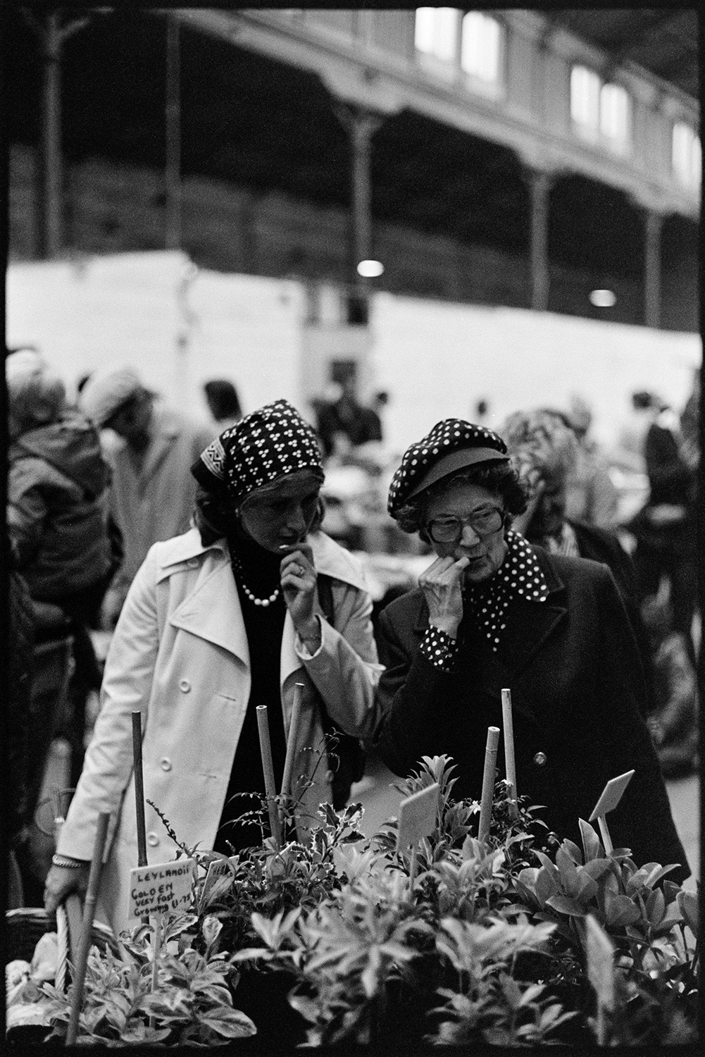 Market hall with stalls, fruit, vegetables and flowers, customers. 
[Two women looking at plants and flowers on a stall at South Molton Pannier Market. One woman is wearing a hat and the other is wearing a head scarf.]