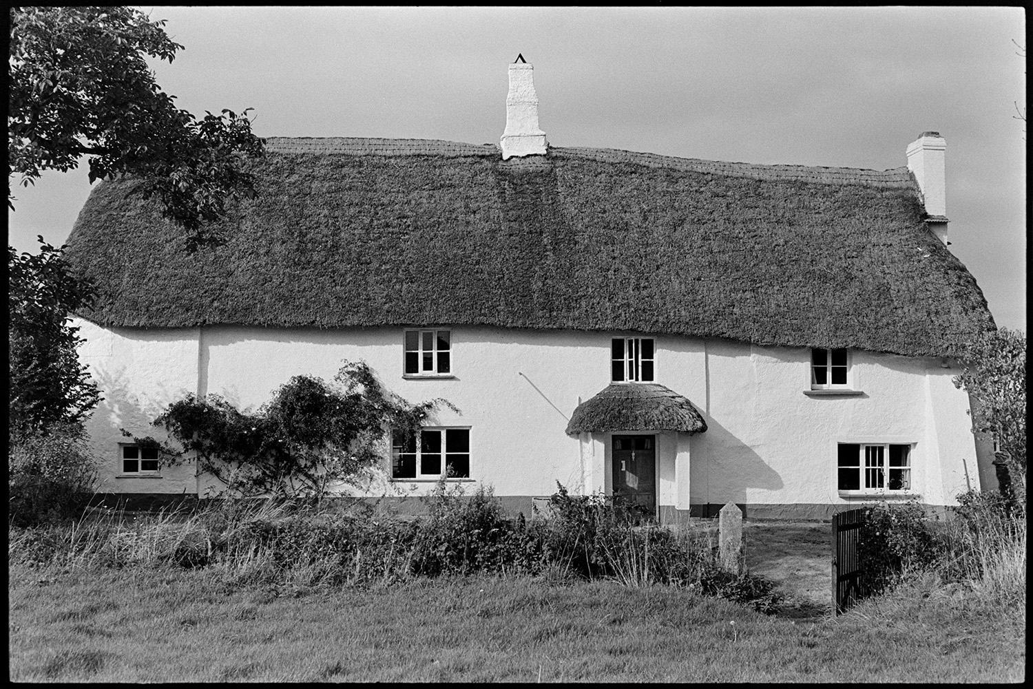 Farmhouse used as creative writing centre. 
[The Arvon Centre at Totleigh Barton, Sheepwash. The thatched farmhouse has a thatched porch and a plant growing up the wall. The farmhouse was used as a creative writing centre.]