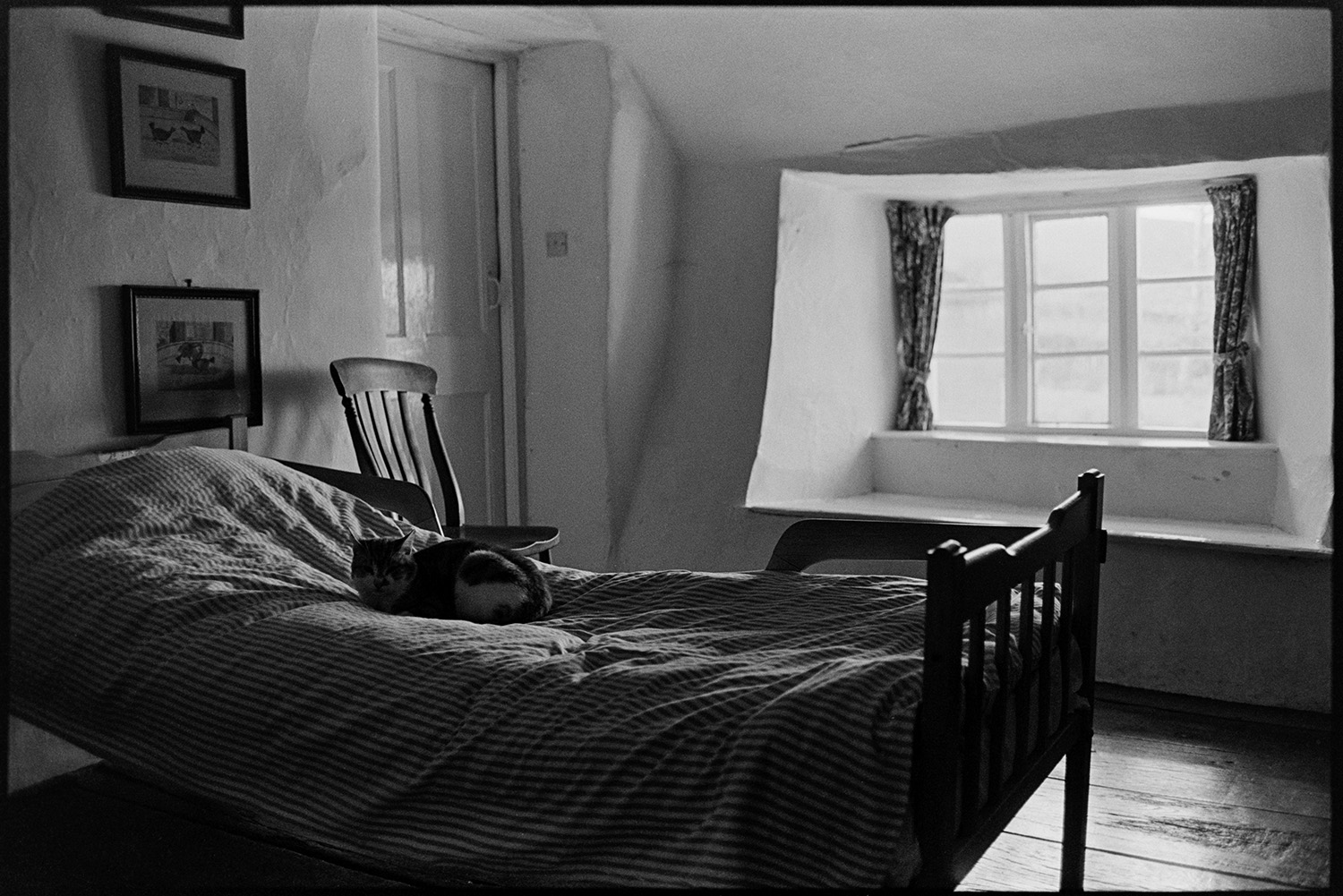 Farmhouse used as creative writing centre. 
[A cat sat on a bed at the Arvon centre at Totleigh Barton, Sheepwash. Pictures are also hung on the wall of the bedroom. The farmhouse was used as a creative writing centre.]