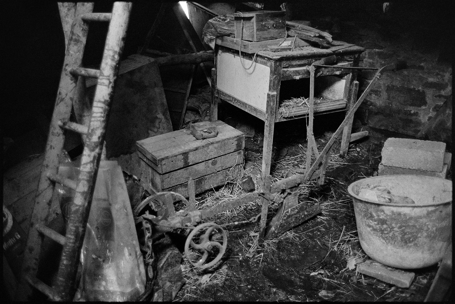 Tools and bits and pieces in shed, box contained ferret! 
[Archie Parkhouse's shed at Millhams, Dolton. A ladder, bowls, block, parts of machinery or tools can be seen. The box on the floor contained a ferret.]
