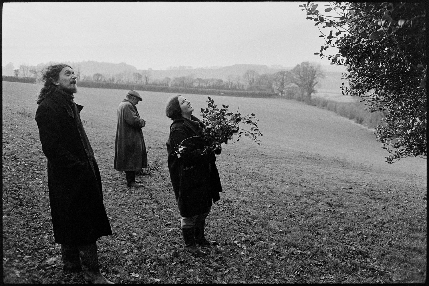 People gathering holly for Christmas decoration. 
[Ivor Brock, wearing a cap, gathering holly for Christmas decorations with another man and a woman, in a field at Millhams, Dolton. The man and woman are looking up at a tree.]