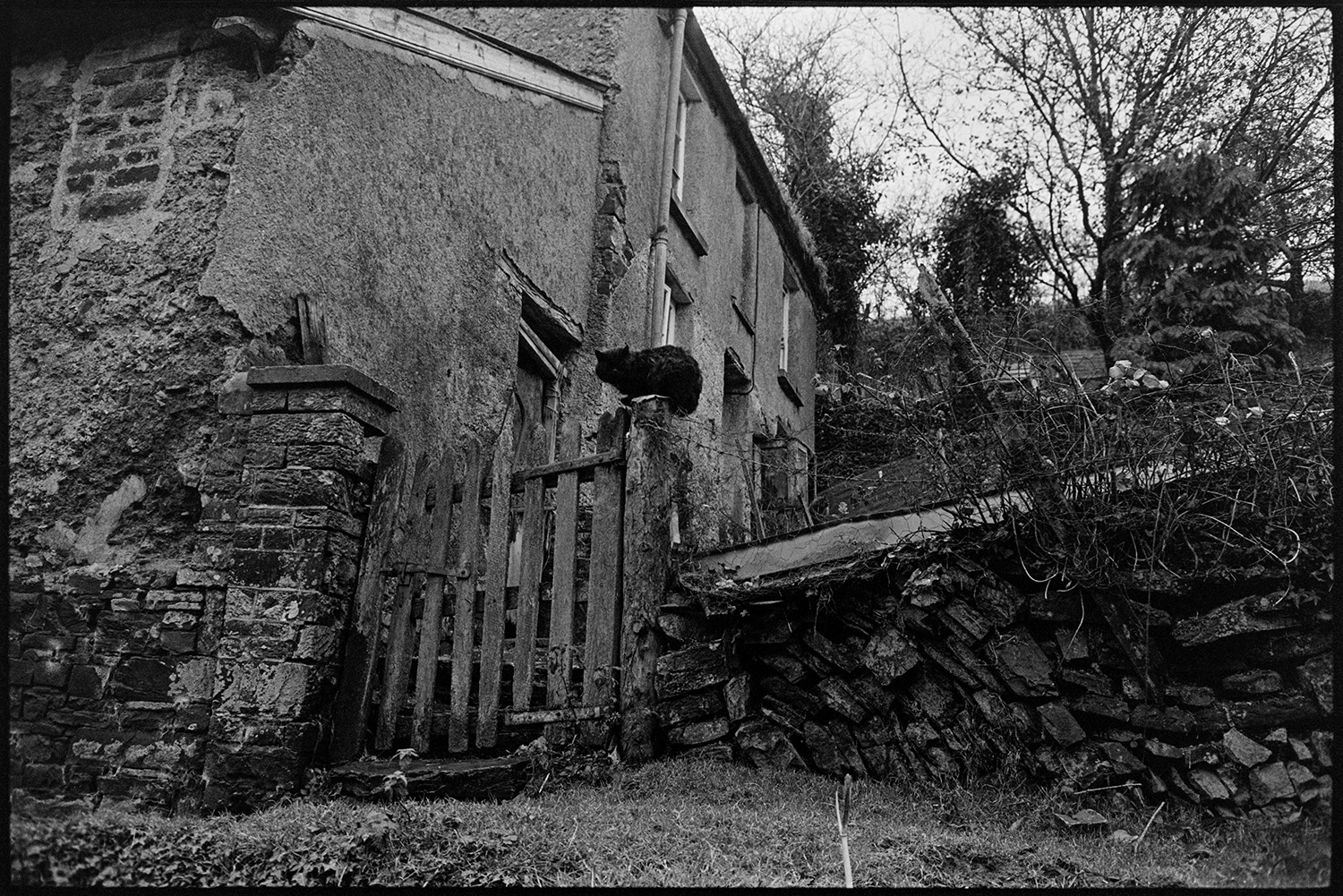 Farmer going through cottage gate. 
[A cat sat on a gate post outside Ivor Brock's cottage at Millhams, Dolton.]